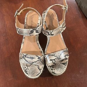 Cityclassified espadrilles in snake pattern